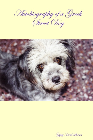 Autobiography of a Greek Street Dog
