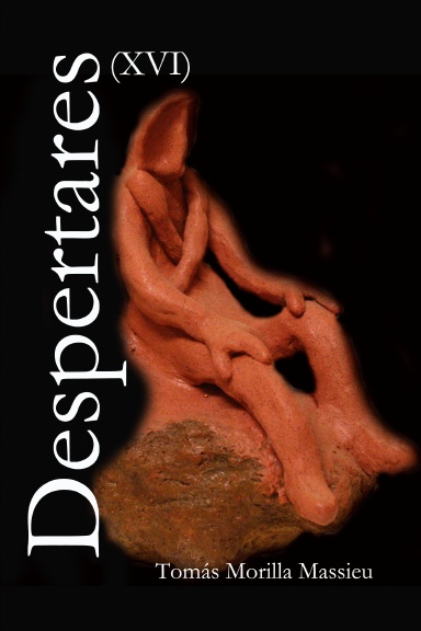 Despertares XVI