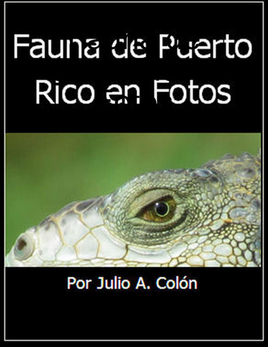 Fauna de Puerto Rico en Fotos