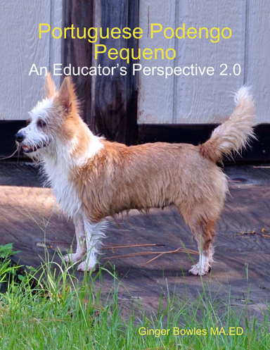 Portuguese Podengo Pequeno: An Educator’s Perspective 2.0