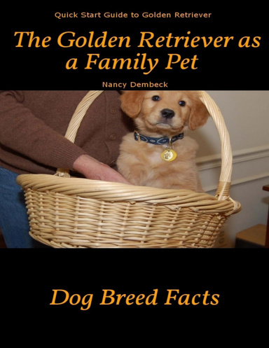 The Golden Retriever as a Family Pet – Quick Start Guide to Golden Retriever Dog Breed Facts