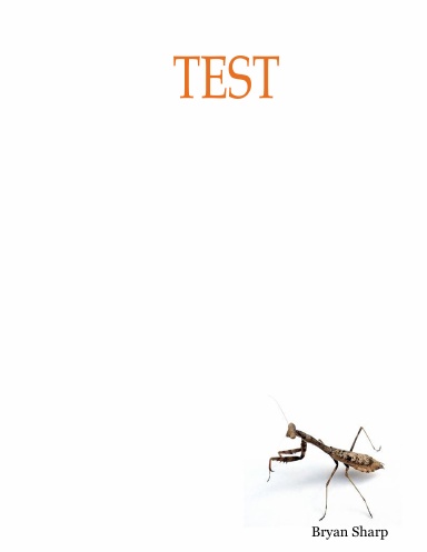 TEST