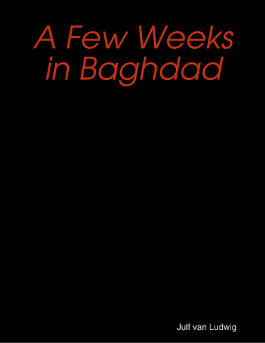 A Few Weeks in Baghdad