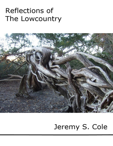Reflections of The Lowcountry