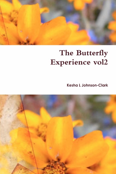 The Butterfly Experience: A Collection of Poems vol2