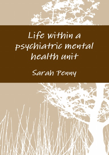 Life within a psychiatric mental health unit