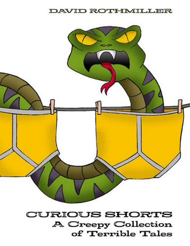 Curious Shorts: A Creepy Collection of Terrible Tales