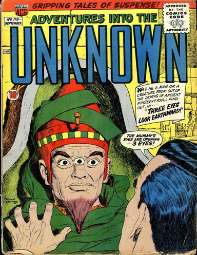 Adventures into the Unknown Number 119 Horror Comic Book