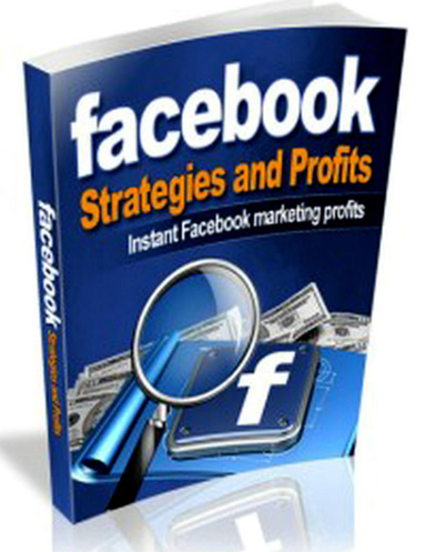 Facebook Strategies and Profits