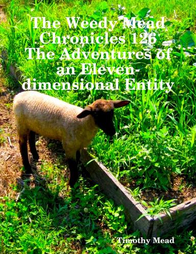 The Weedy Mead Chronicles 126 the Adventures of an Eleven-dimensional Entity
