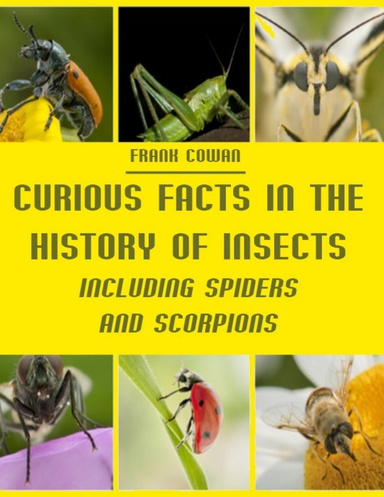 Curious Facts in the History of Insects : Including Spiders and Scorpions (Illustrated)