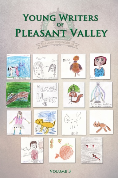 Young Writers of Pleasant Valley - Volume 3