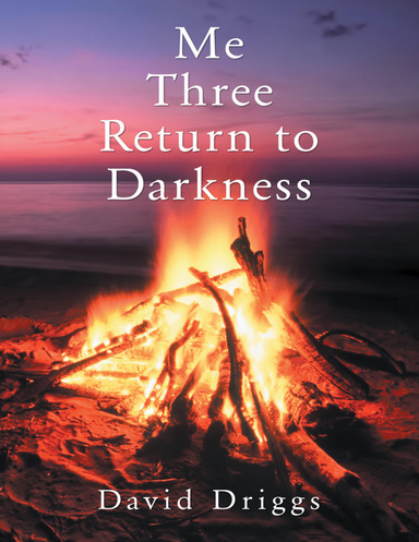 Me Three: Return to Darkness