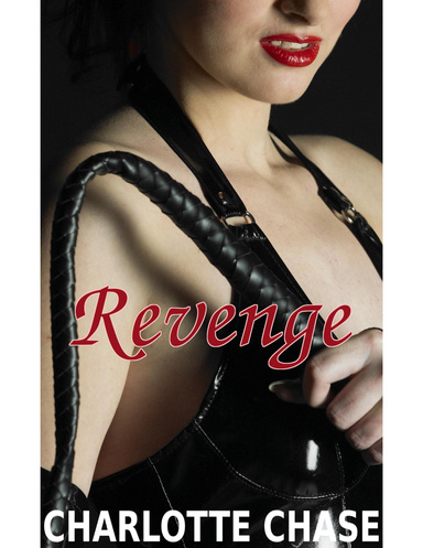 Revenge - An Aggressive Femdom Story