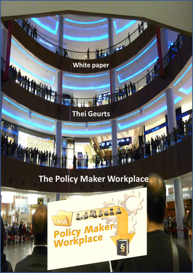 The Policy Maker Workplace