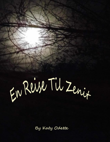En Reise Til Zenit