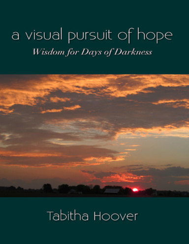 A Visual Pursuit of Hope: Wisdom for Days of Darkness