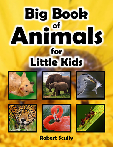 Big Book of Animals for Little Kids