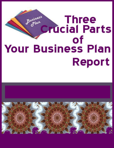 The Three Cruical Parts to a Business Plan Report