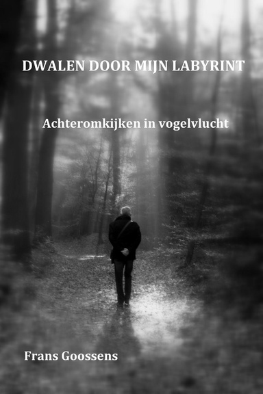 Dwalen door mijn Labyrint