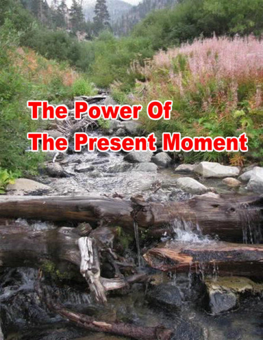 The Power Of The Present Moment