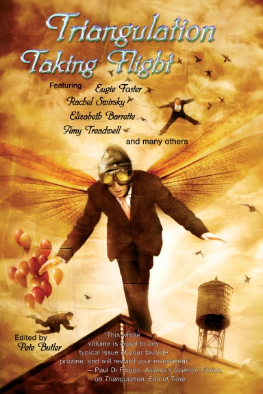 Triangulation:  Taking Flight