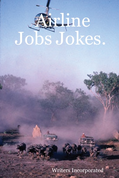 Airline Jobs Jokes.