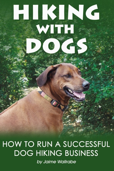 Hiking With Dogs: How To Run A Successful Dog Hiking Business