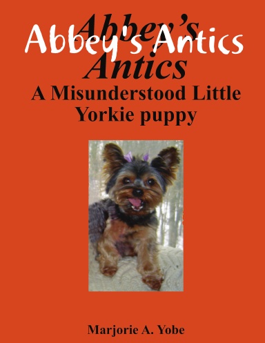 Abbey's Antics