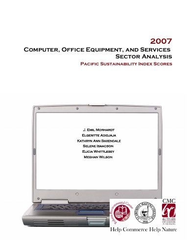 Computer, Office Equipment, and Services Sector Analysis 2007 (color)