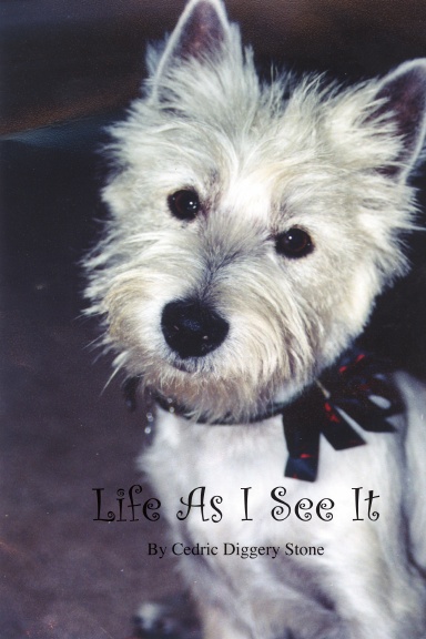 Life As I See It