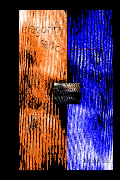 Dragonfly Sauce - Poetry, intimate thoughts and recorded conversations, short story