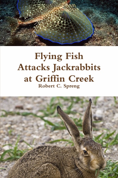Flying Fish Attacks Jackrabbits at Griffin Creek