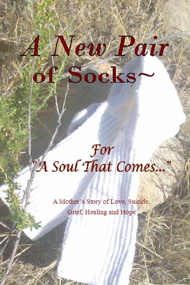 A New Pair of Socks~