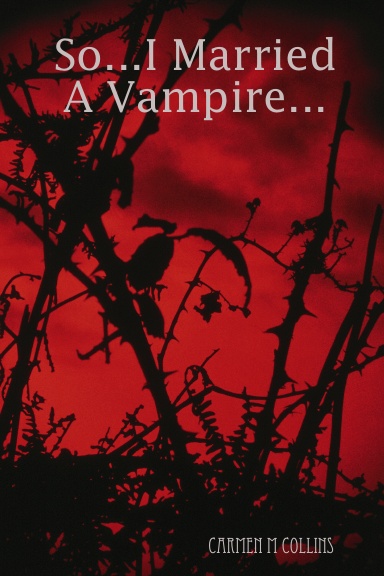 So...I Married A Vampire...