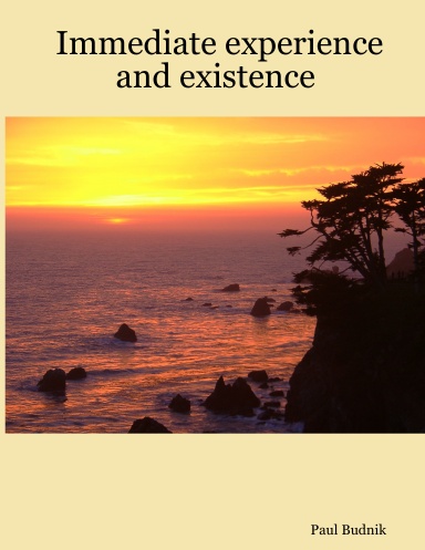 Immediate experience and existence