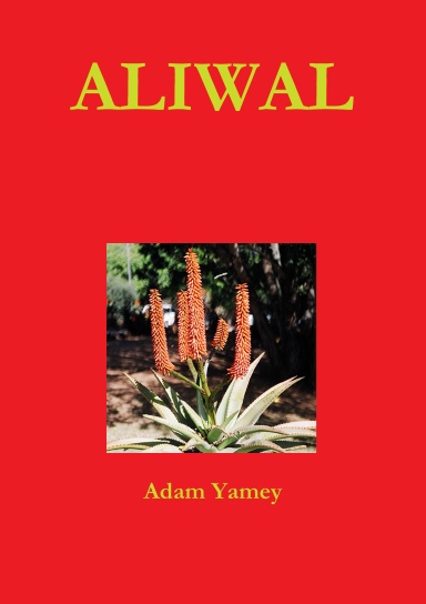 ALIWAL