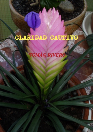 CLARIDAD CAUTIVO