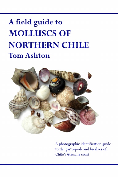 Molluscs of Northern Chile