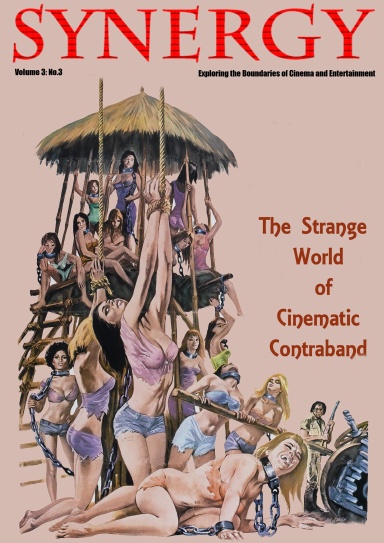 Synergy Magazine Volume 3 No 3 Cinematic Contraband Standard Edition