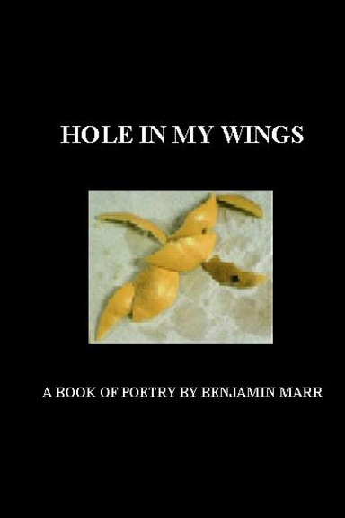 Hole In My Wings
