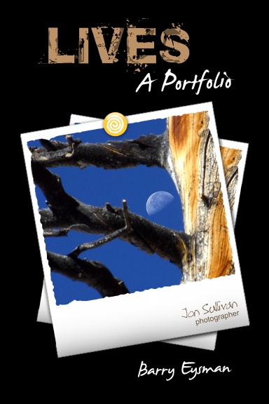 LIVES, A Portfolio