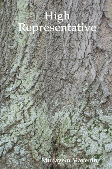 High Representative