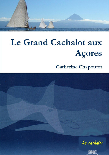 Le Grand Cachalot aux Açores