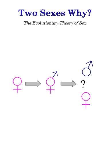The Evolutionary Theory of Sex