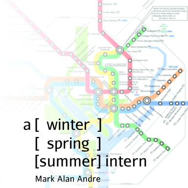 A Winter Spring Summer Intern