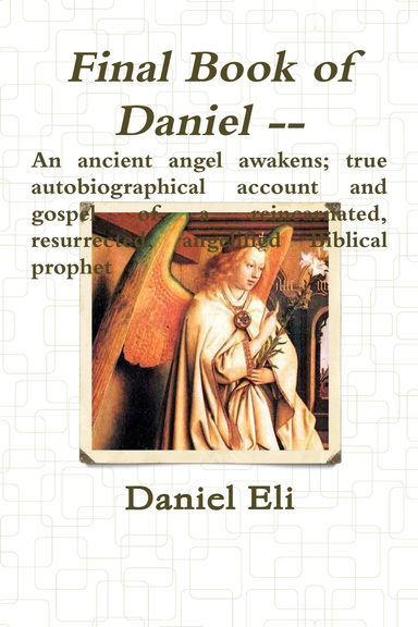 Final Book of Daniel--Condensed Version Paperback