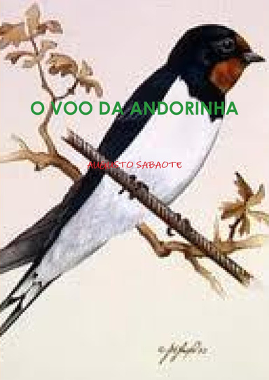 O VOO DA ANDORINHA