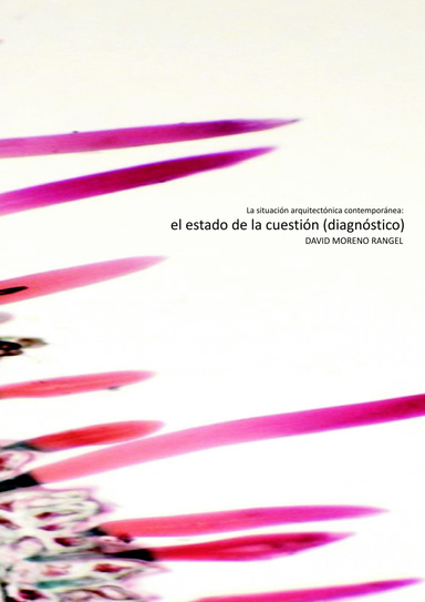 La situación arquitectónica contemporánea: el estado de la cuestión (diagnóstico)