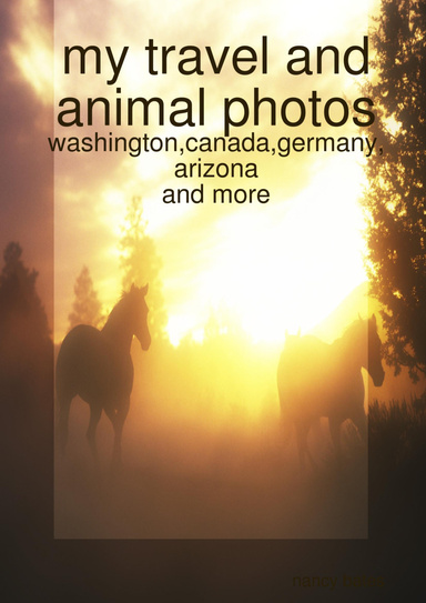 my travel photos